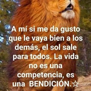 Meet your Posher, Nery